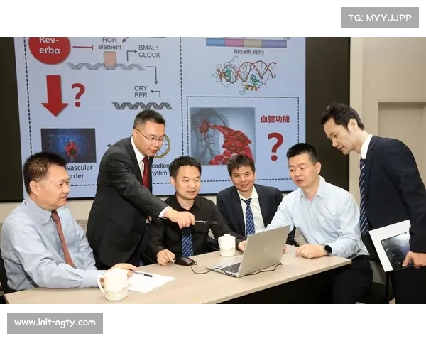 腿筋伤势成常见病,医学团队干预方案优化 腿筋伤势成常见病,医学团队干预方案优化