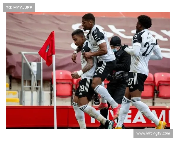 英超第22轮：富勒姆1-1利兹联，升班马客场顽强度过危机