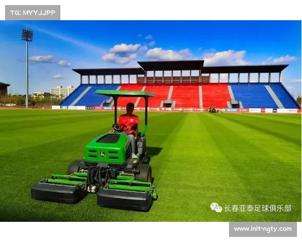 法国业余足球联赛参赛人数创新高，基层热度上涨