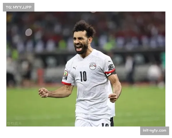 非洲举重锦标赛:埃及队统治奖牌榜,获满额奥运门票